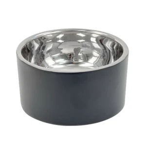 Fog City Pet Tilted Double Wall Stainless Steel Elevated Cat Bowl